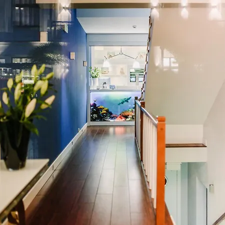 住宿加早餐酒店 海滩别墅酒店