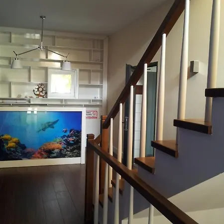 海滩别墅酒店 住宿加早餐酒店