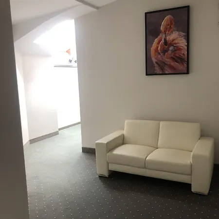 海滩别墅酒店 米兹多洛杰