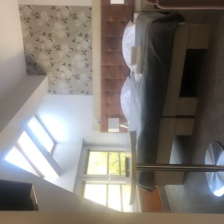 海滩别墅酒店 住宿加早餐酒店 米兹多洛杰